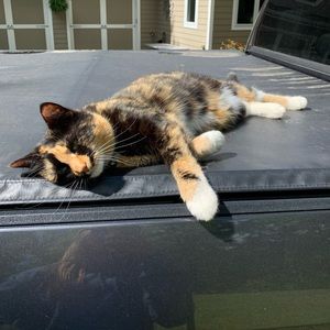 Meet your Posher, Brooke